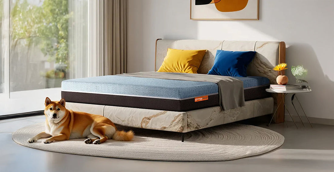 Is Your Mattress Helping Your Muscle Recovery?