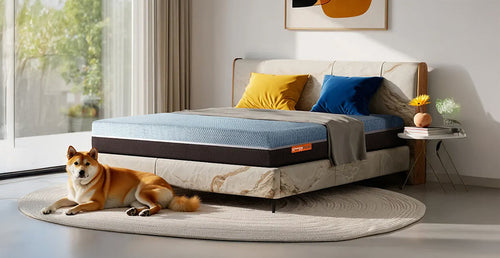 Is Your Mattress Helping Your Muscle Recovery?