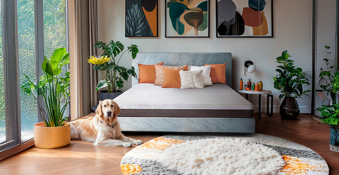 How to Choose the Best Mattress Under 15K