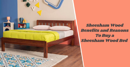 Sheesham Wood Benefits and Reasons To Buy a Sheesham Wood Bed
