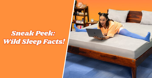 Unraveling Sleepyhead's Jaw-Dropping Trivia Extravaganza