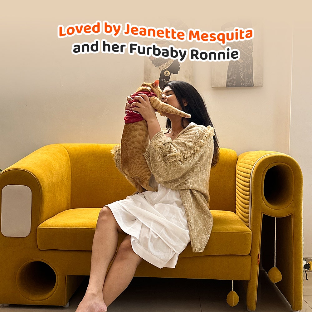 purr-fect-couch-2-seater