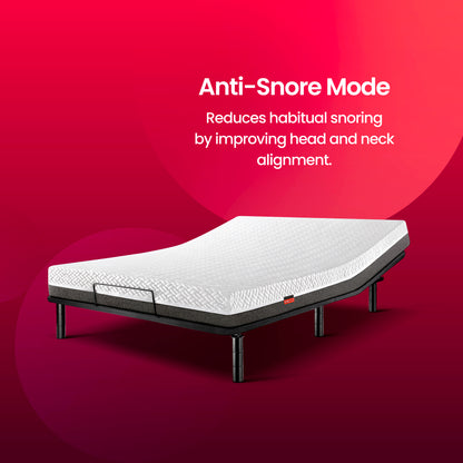 Boba Move | Bed | Sleepyhead