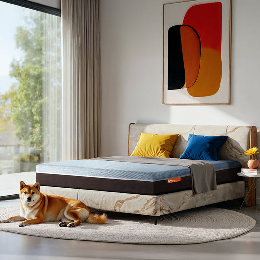 Laxe|Pincore|Late|Mattress|with|BodyIQ|Orthopedic|Memory|Foam