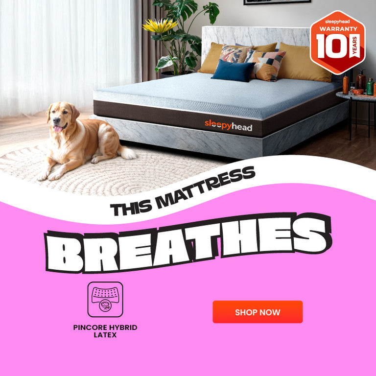 Mattress| Sleepyhead