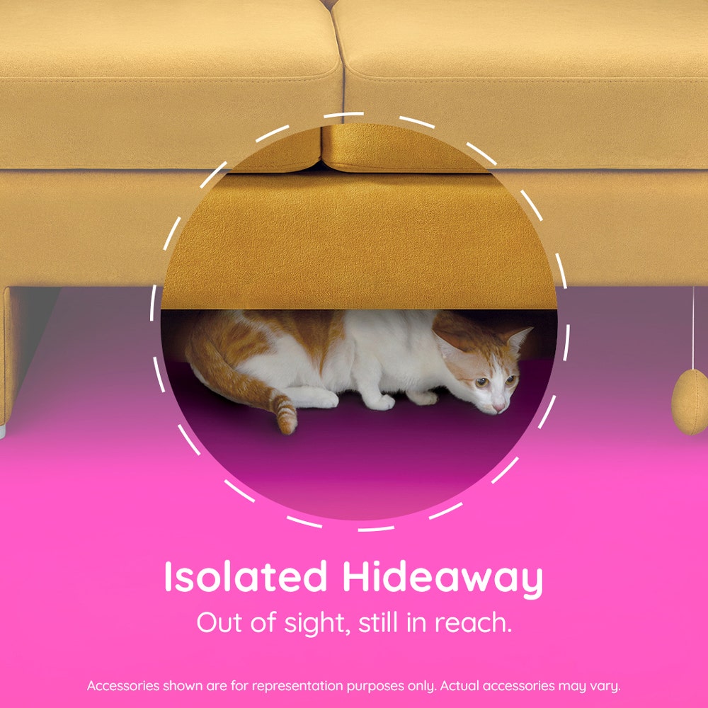 purr-fect-couch-2-seater