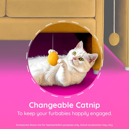 purr-fect-couch-2-seater