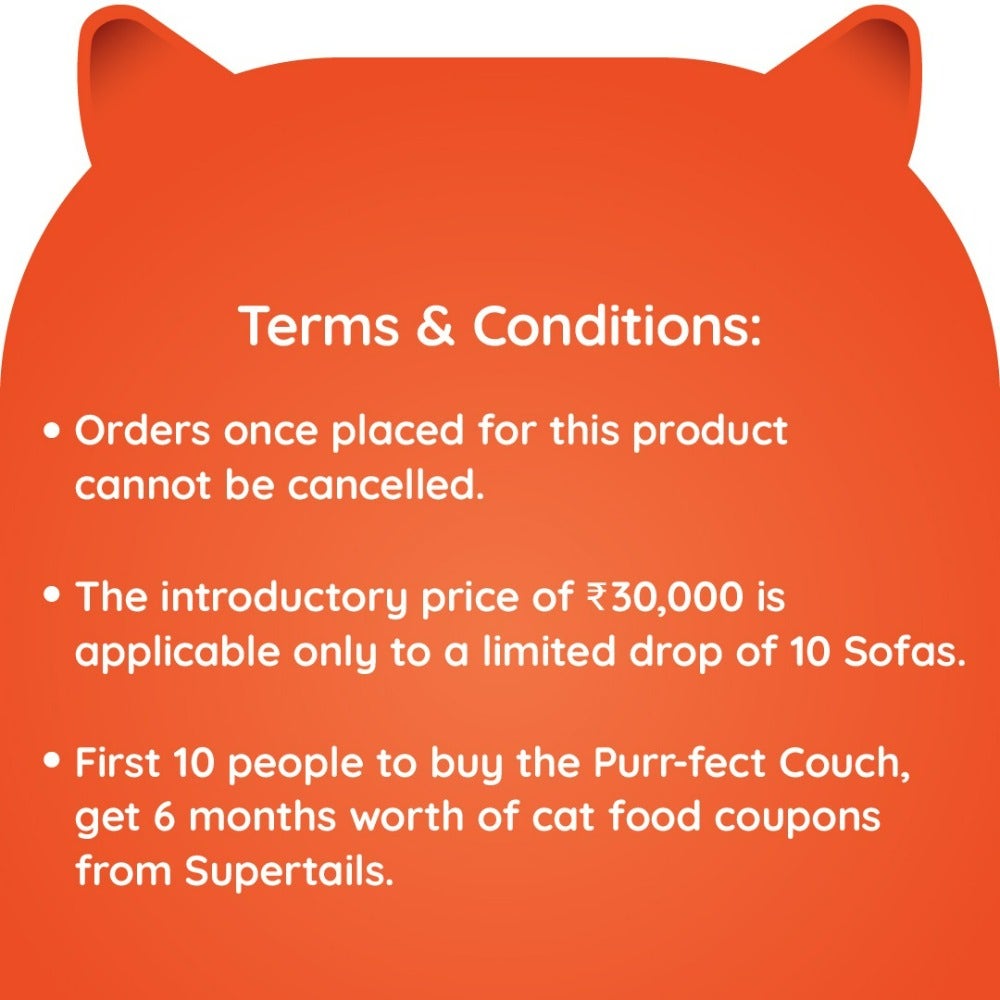 purr-fect-couch-2-seater